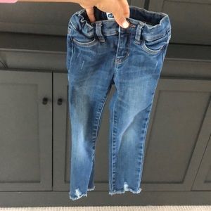 Girls jeans size 3T
